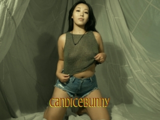 Candicebunny