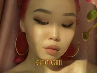 FactorCam