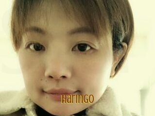 Haringo