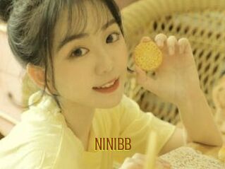 NiNibb