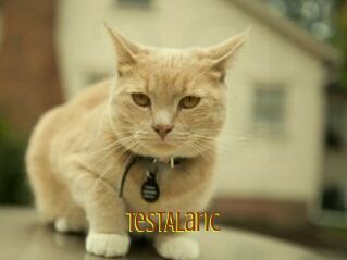 TestAlaric