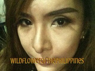 Wildflowerofthephilippines